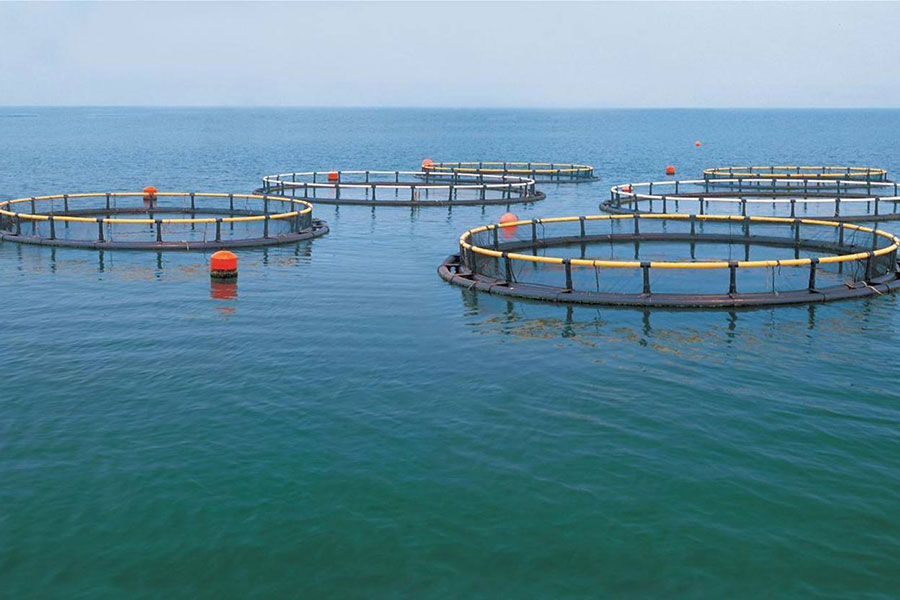 Lifting Equipment In Fishing & Aquaculture