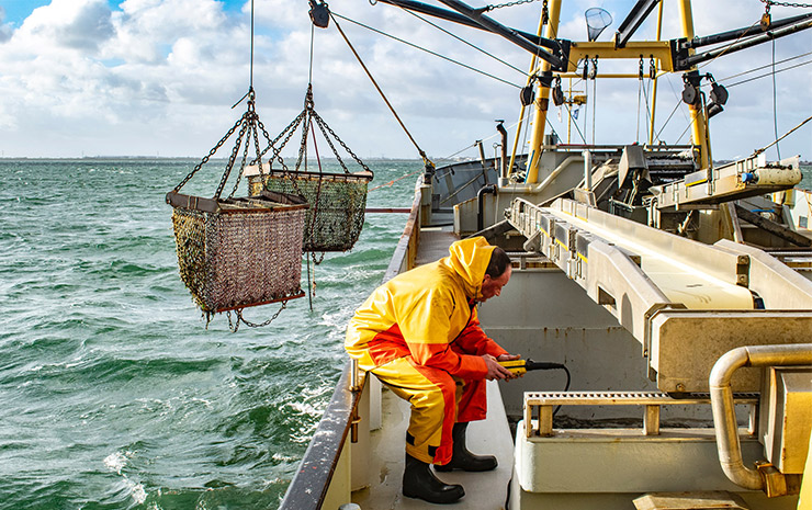 Lifting Equipment In Fishing & Aquaculture