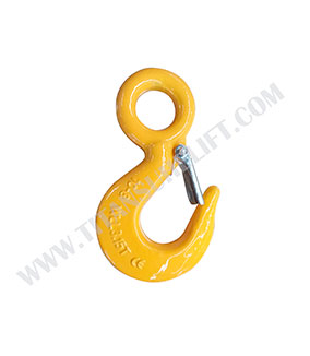 Grade 8 Eye Hook with Latch