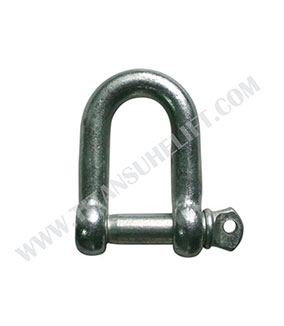 European Type Large D Shackle