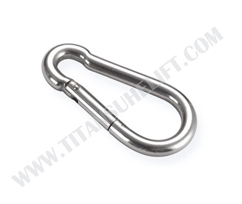 Stainless Steel Spring Snap Hook