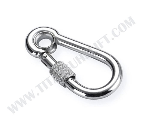 Stainless Steel Spring Snap