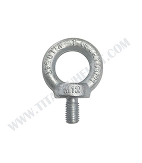 DIN580 Eye Bolt/Eye Screw