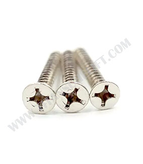 Self Tapping Screw