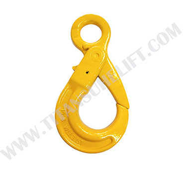 Chain Hooks